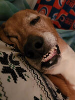 Daisy♡
